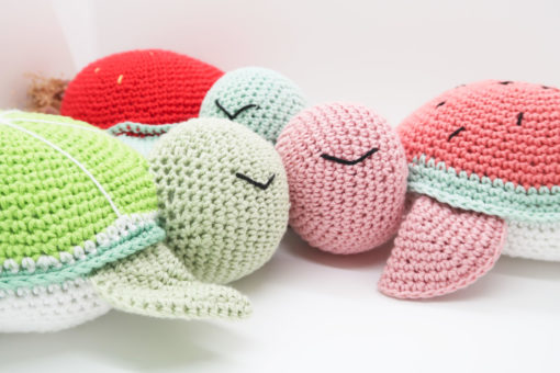 Les tortues fruitées